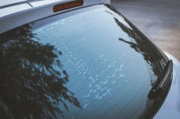 28 Percent Window Tint Overview What You Need to Know