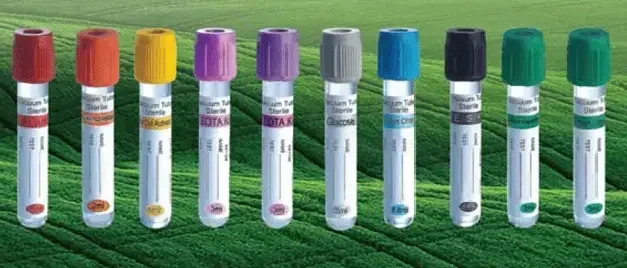 What Is a Rainbow Blood Draw Everything You Should Know